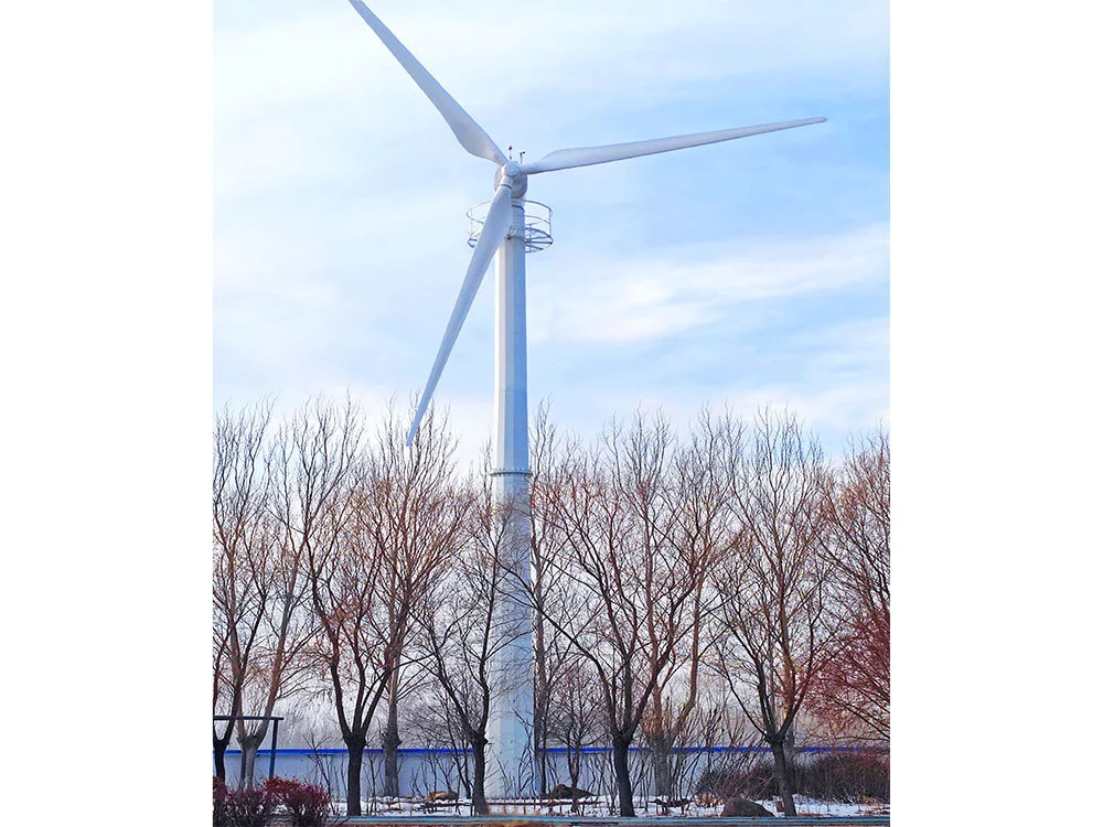 Baicheng City Electronically Controlled 50KW Wind