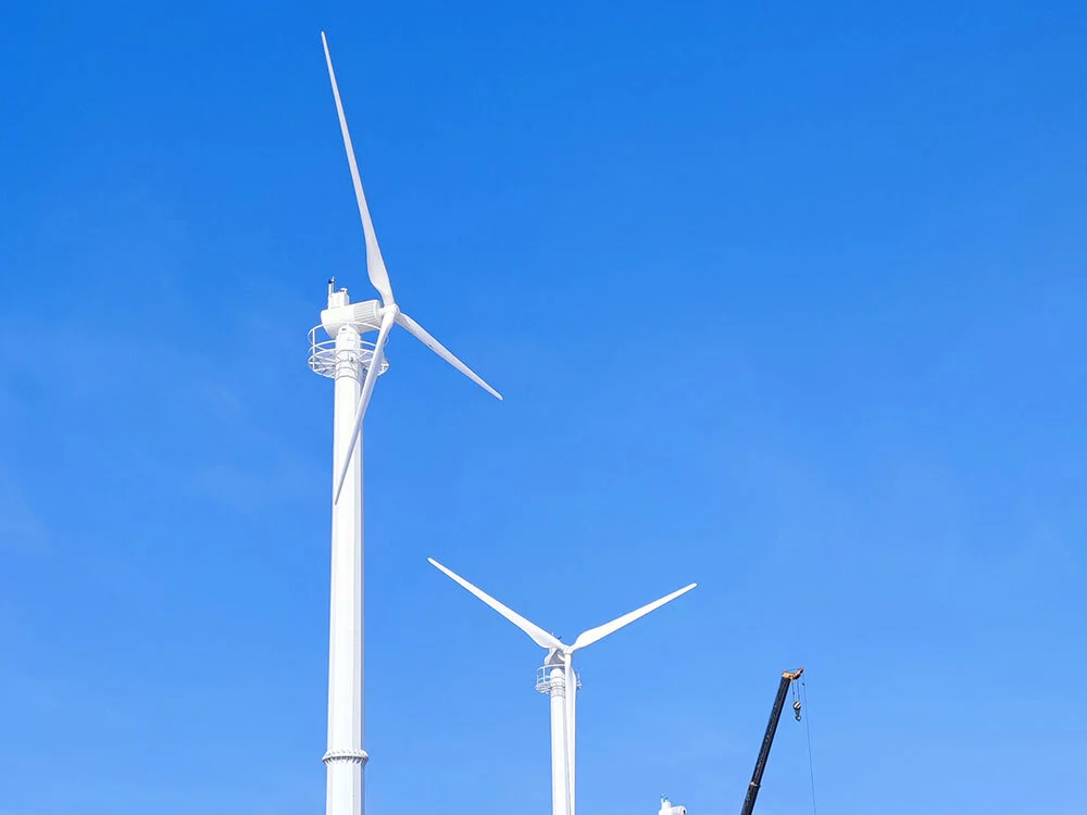Zhenlai County 50KW