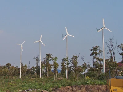 Shanghai Farm 3kW L Type