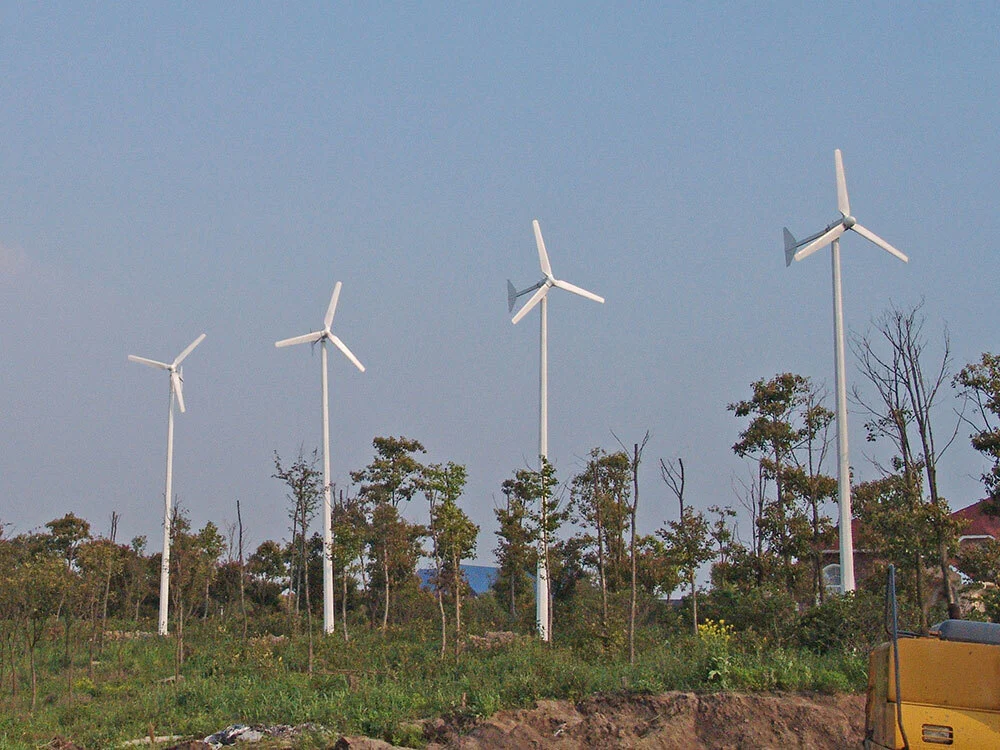Shanghai Farm 3kW L Type