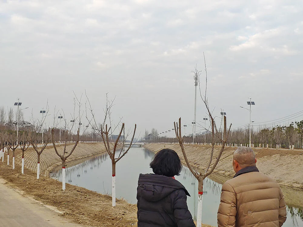 Wind And Solar Complementary S Type 200w Xuchang