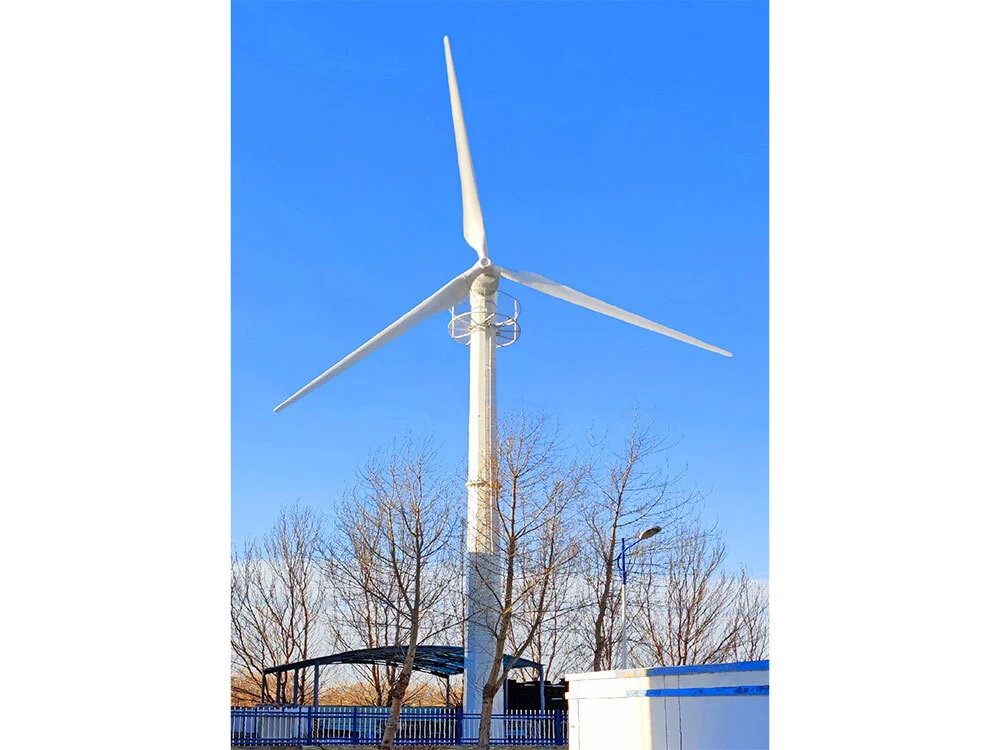Baicheng City Electronically Controlled 50KW Wind1