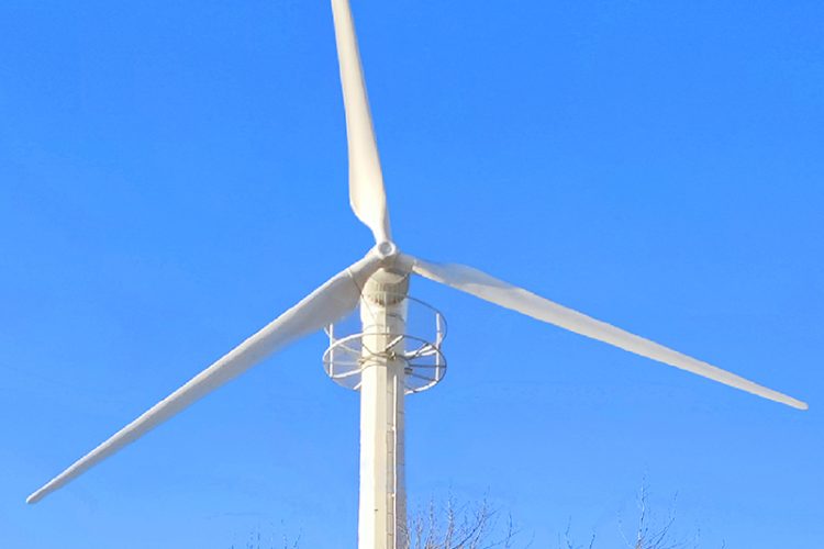 75kW Three bladed Permanent Magnet Direct Drive Small and Medium sized Wind Turbine Manufacturer Horizontal Axis Yaw